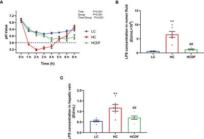 Dietary disodium fumarate supplementation alleviates subacute ruminal acidosis (SARA)-induced liver damage by inhibiting pyroptosis via mitophagy-NLRP3 inflammasome pathway in lactating Hu sheep